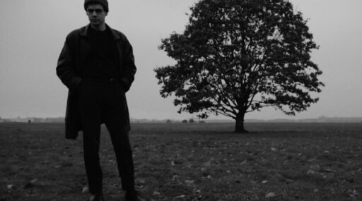 A Deer Falling Into The Sea