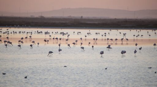 AGUA: ZONA CERO